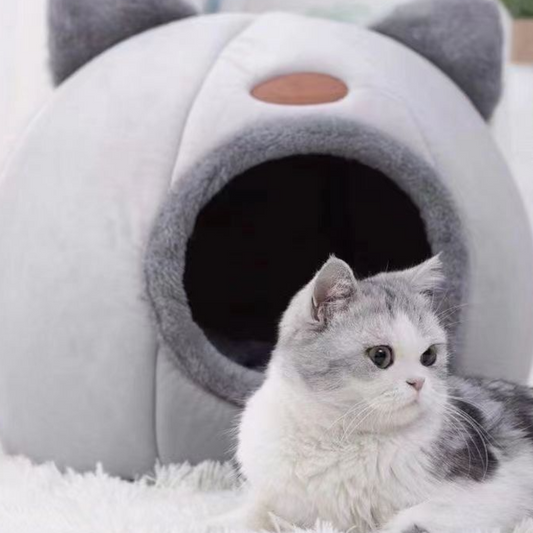 All-Season Warm Cat Bed with Cushion